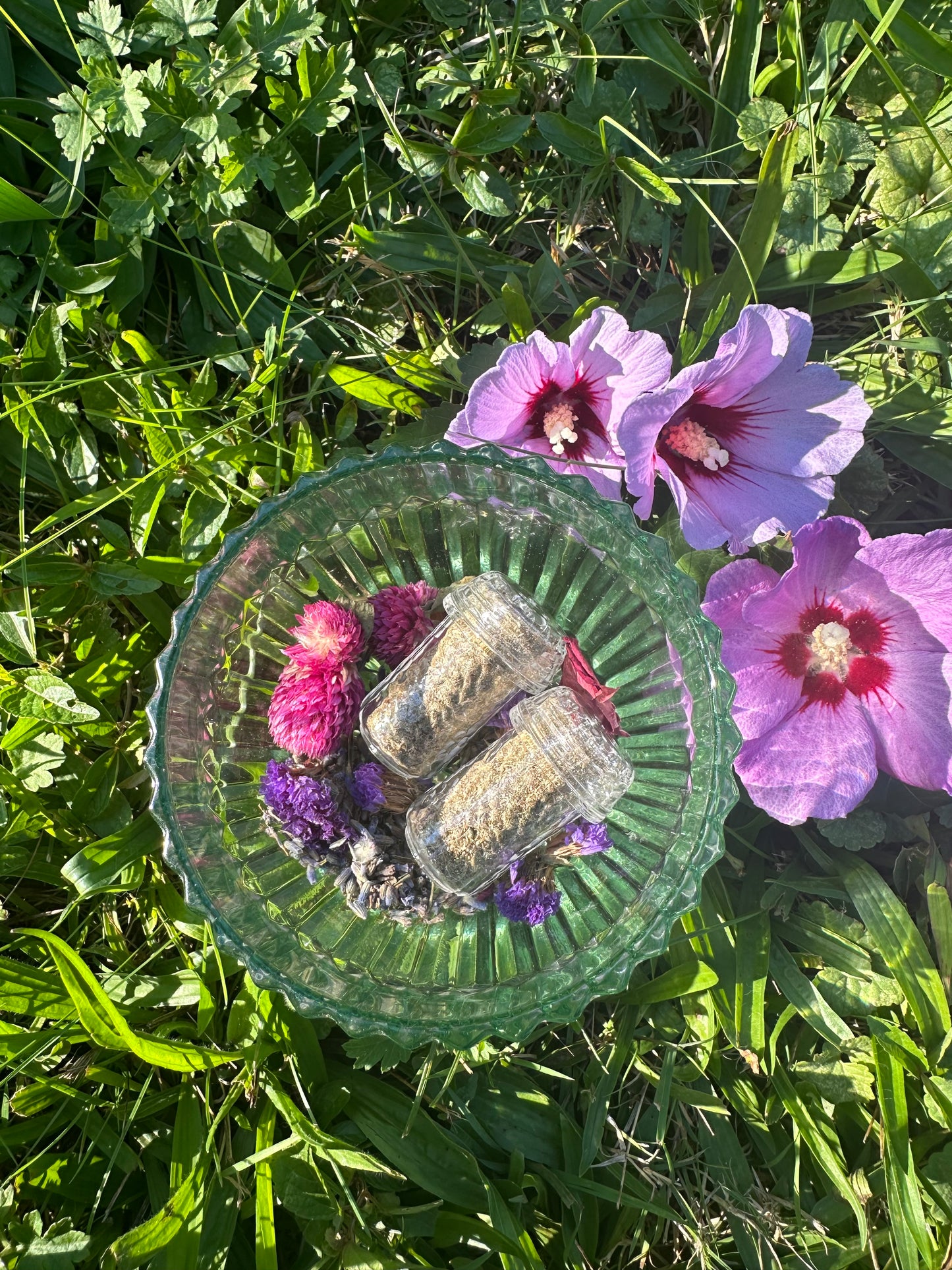 Lavender Love