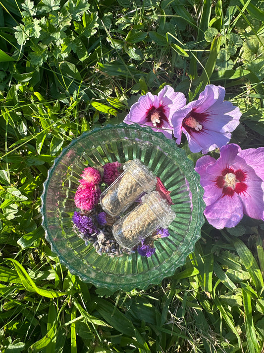 Lavender Love